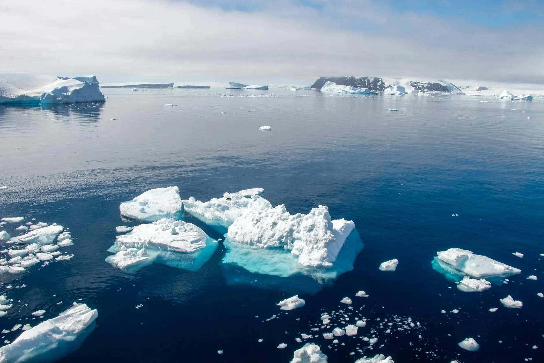 Antarctic Peninsula