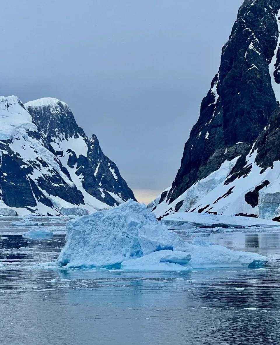 Zodiac in Lemaire Channel