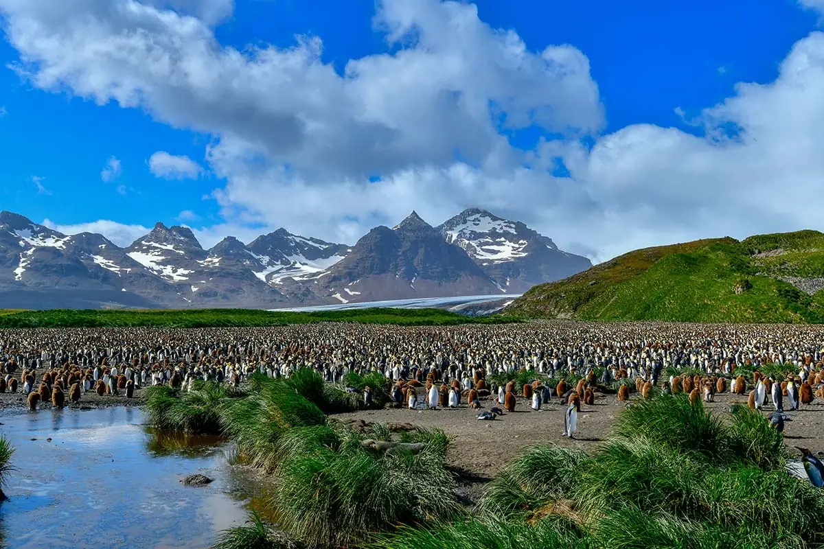 South Georgia Island