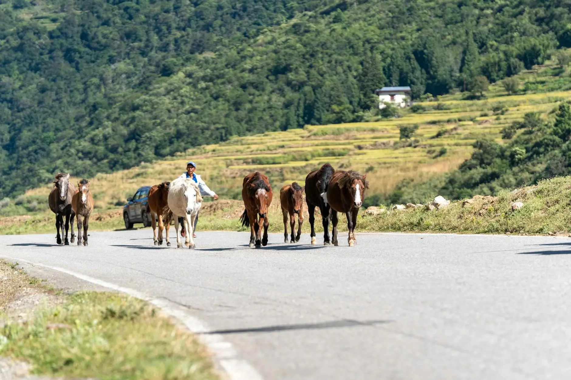 Bhutan