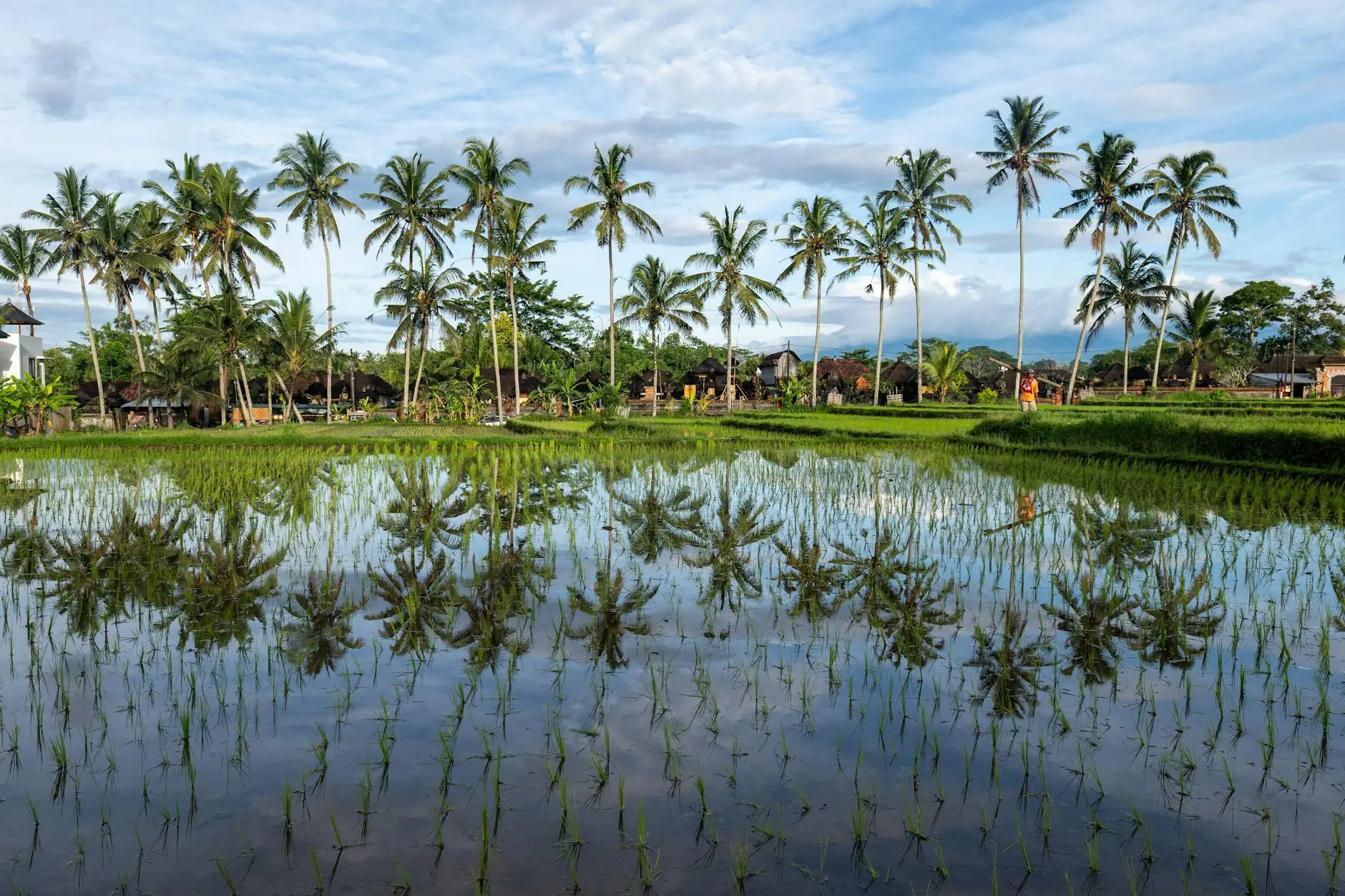 Indonesia