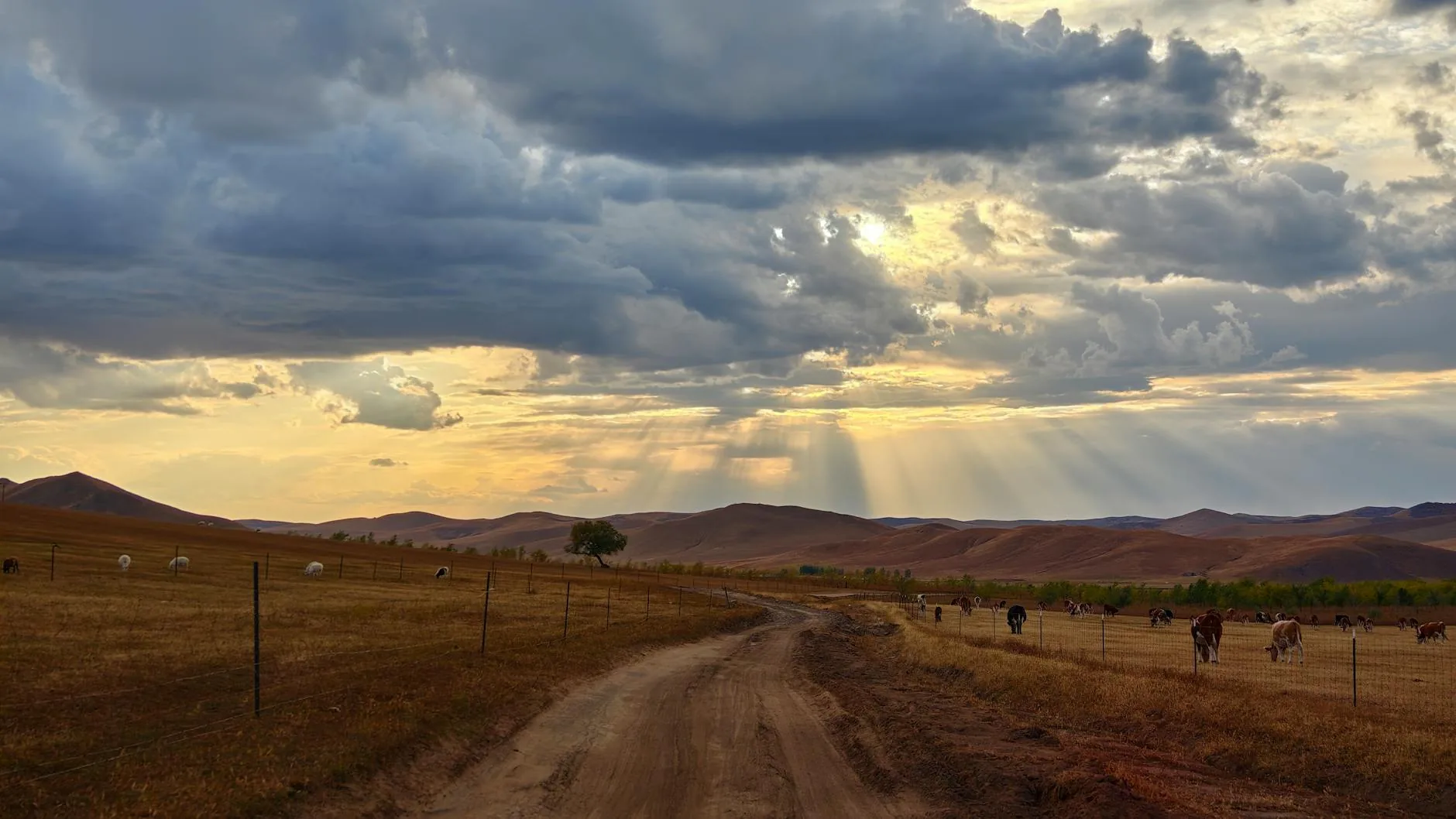 Mongolia