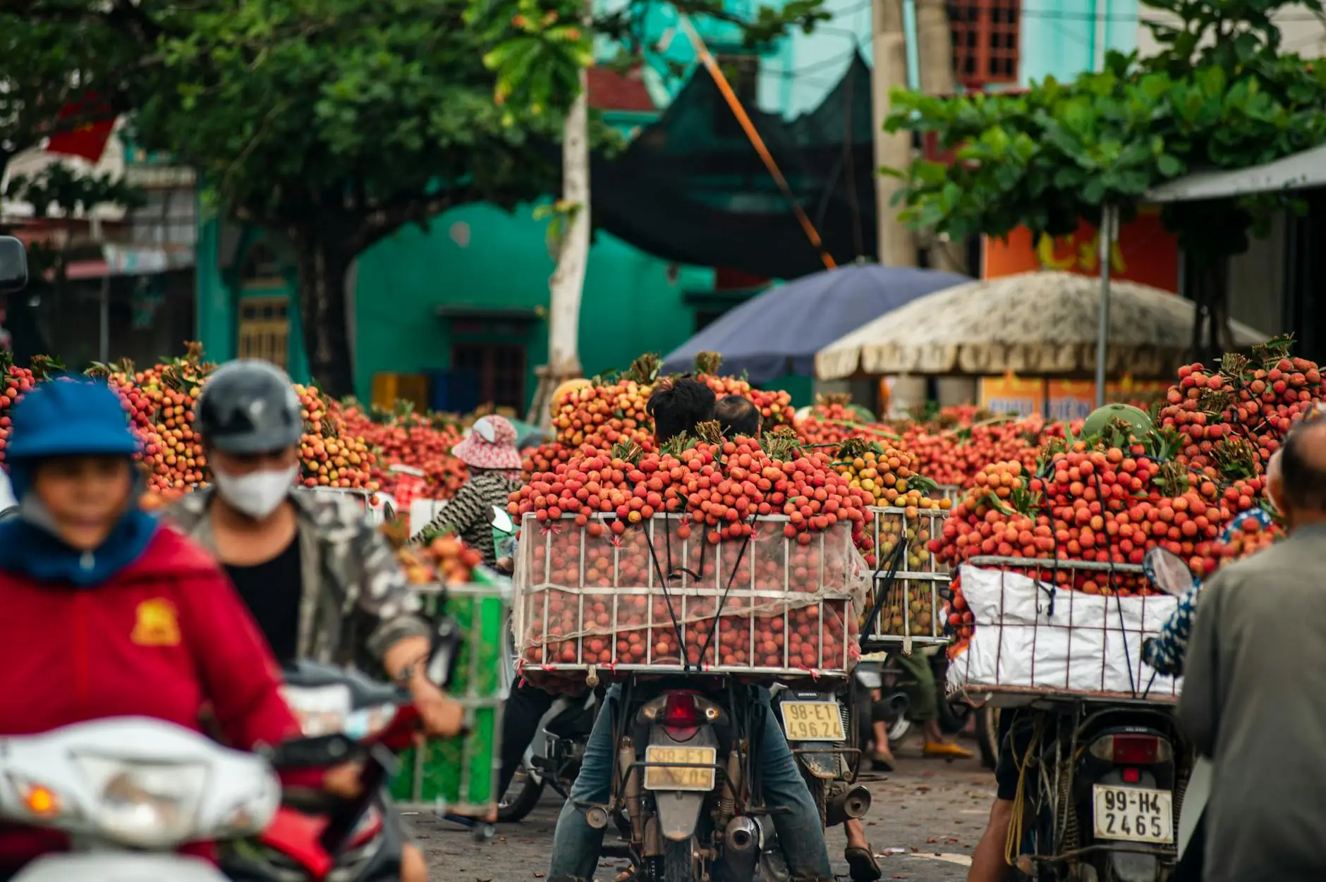 Vietnam