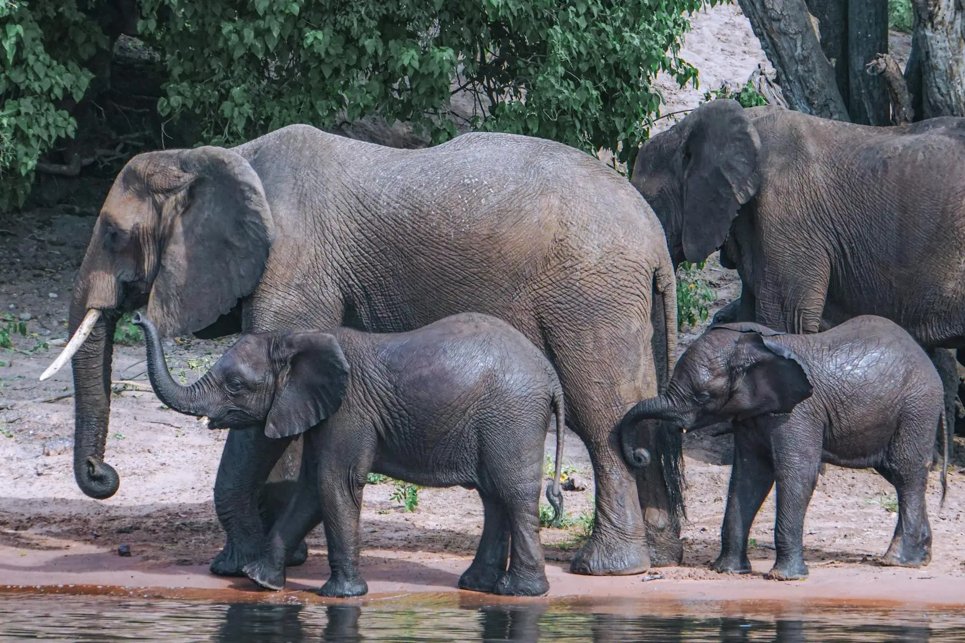 Botswana