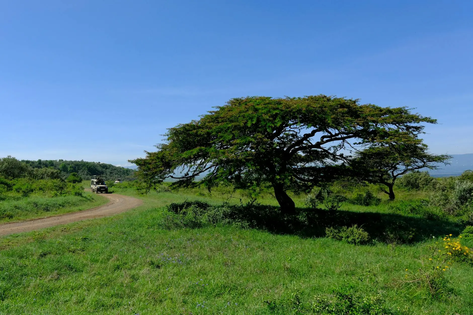Kenya