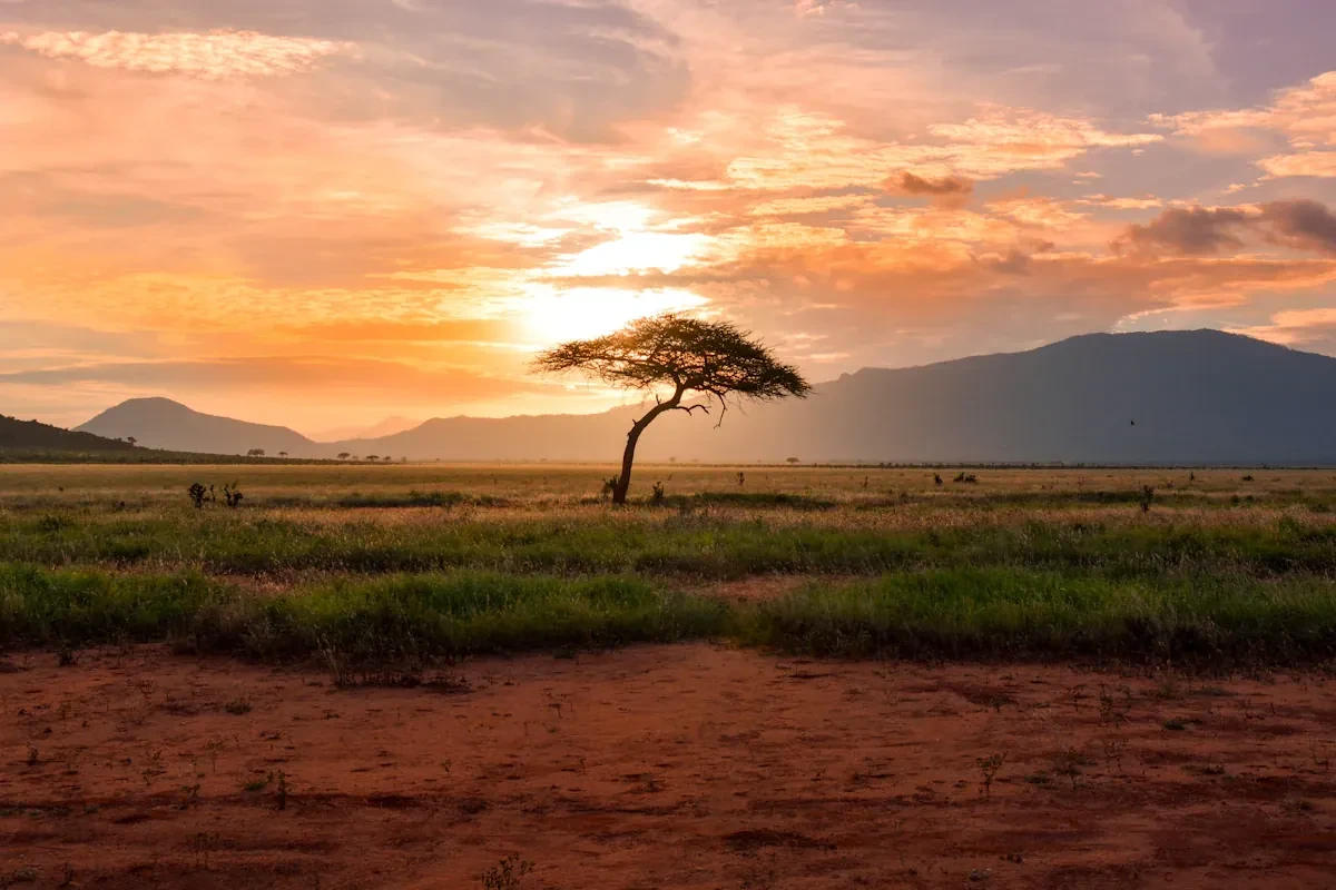 Serengeti, Tanzania