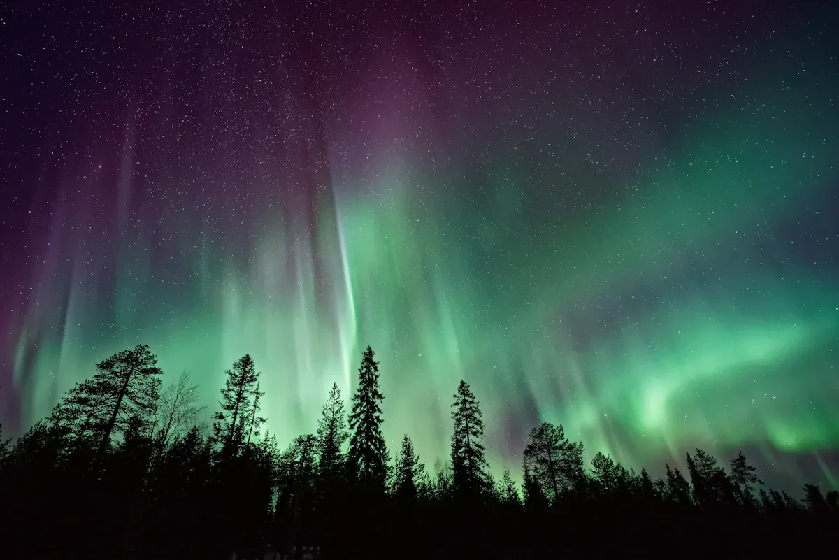 Northern Lights Chase
