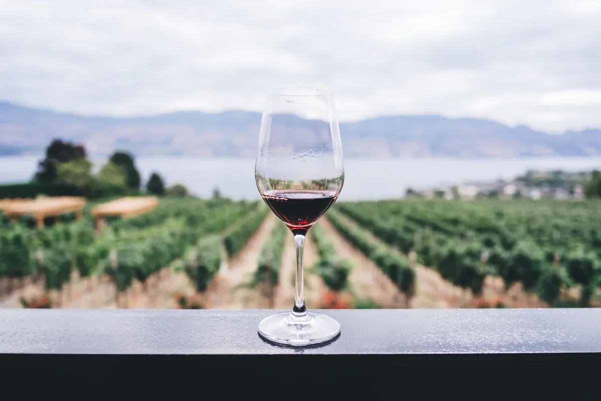 Private Vineyard Dinner