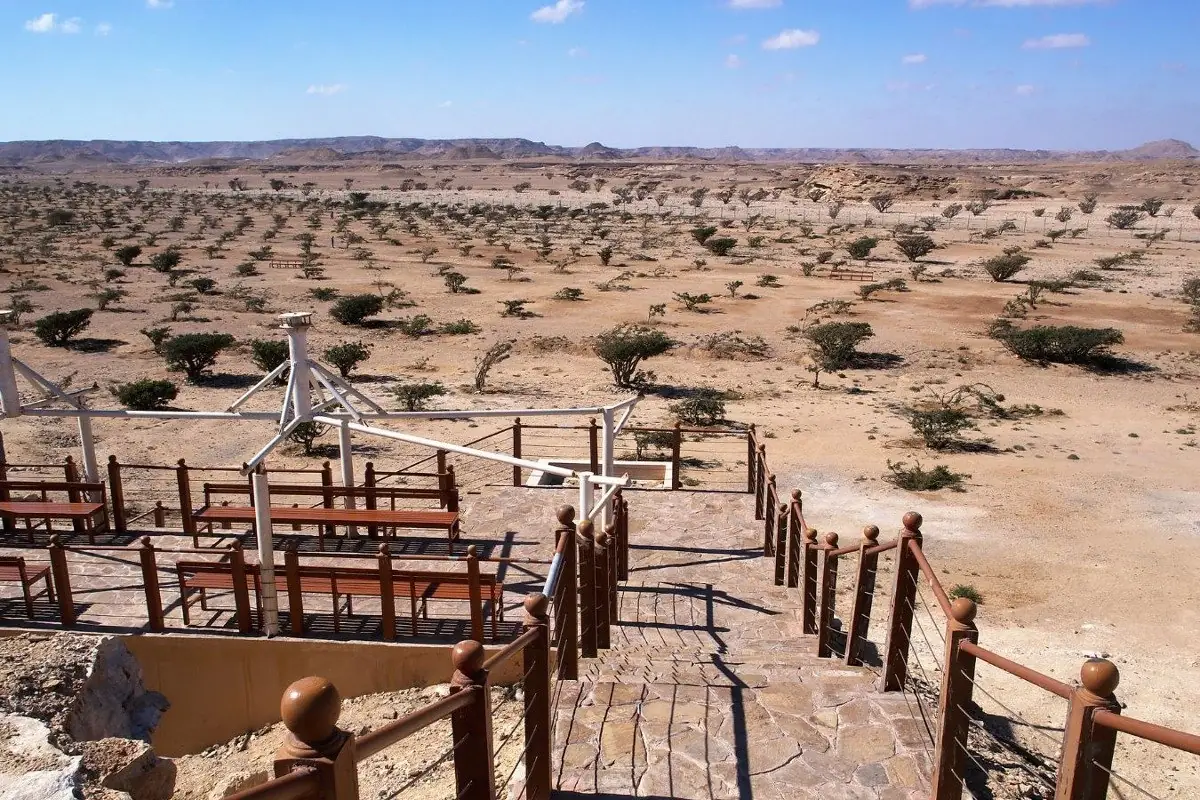 Frankincense Trail