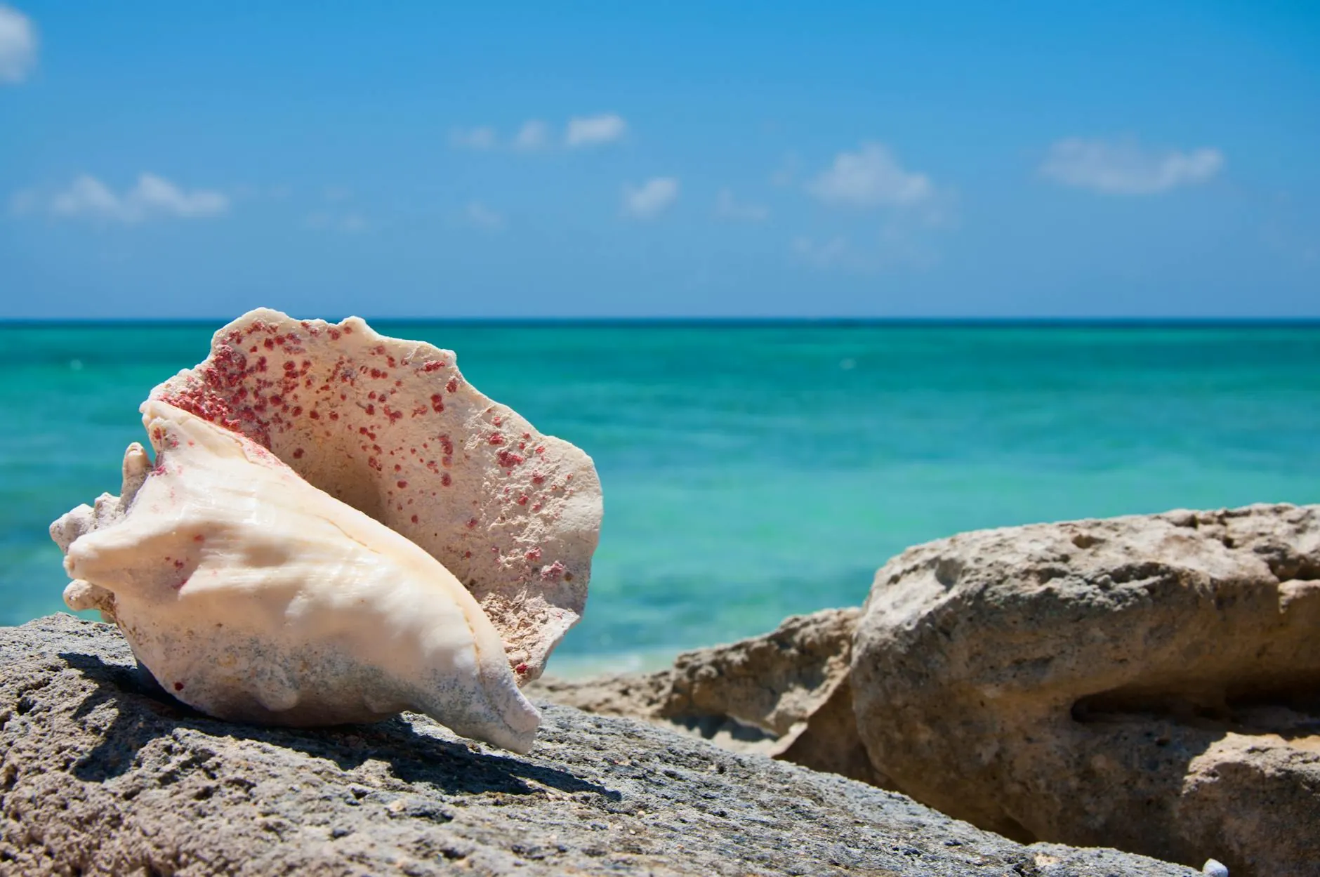 Turks and Caicos