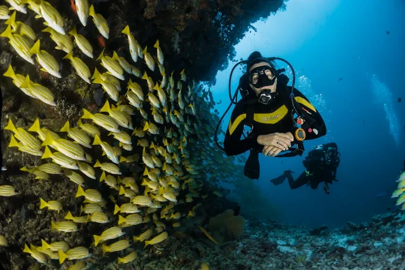 Fiji coral garden underwater