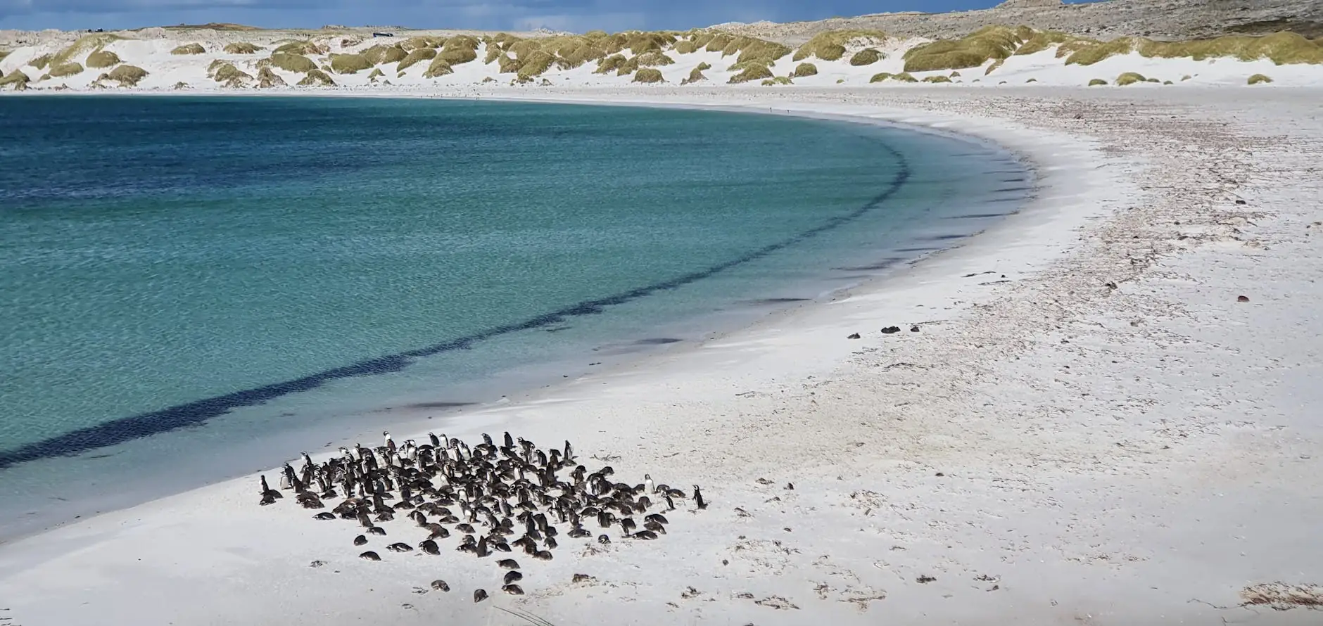 Falkland Islands