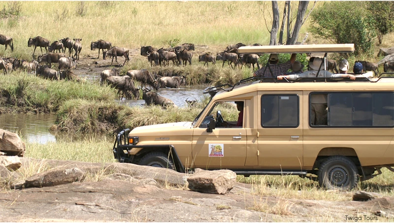 Bush Sundowner Setup
