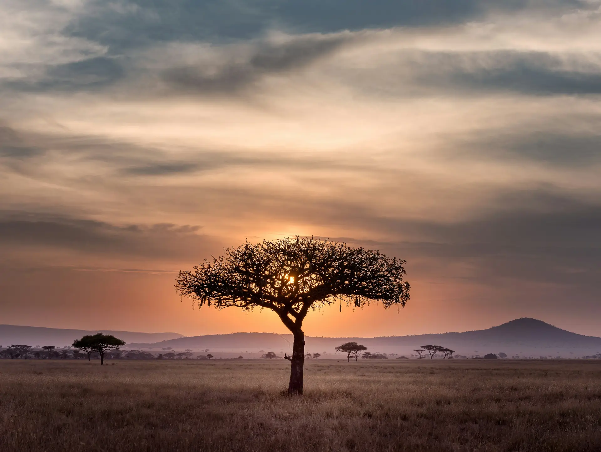 Best of East Africa Safaris (4x4 & Luxury)