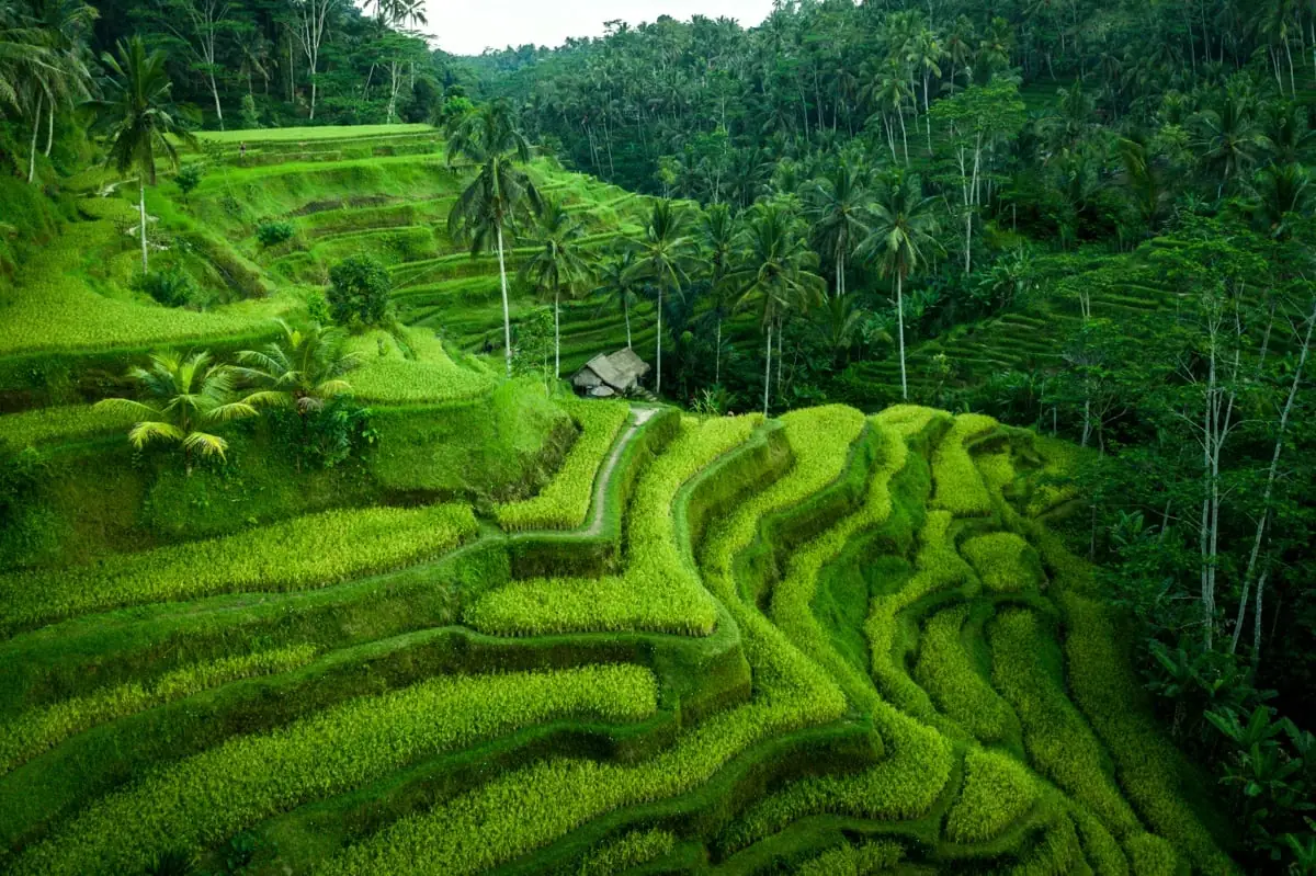 Uluwatu Clifftop View