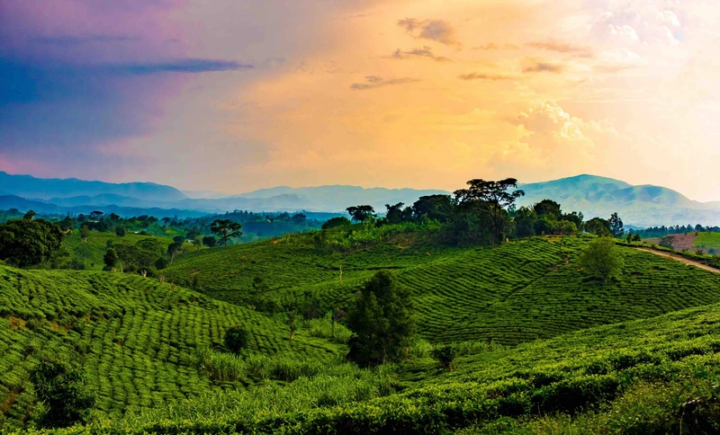 Lake Kivu Sunset