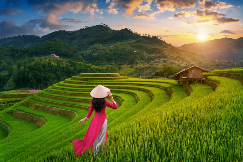 Sapa Rice Terraces