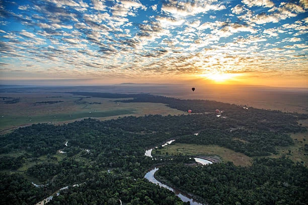 Safari Plane over Savanna