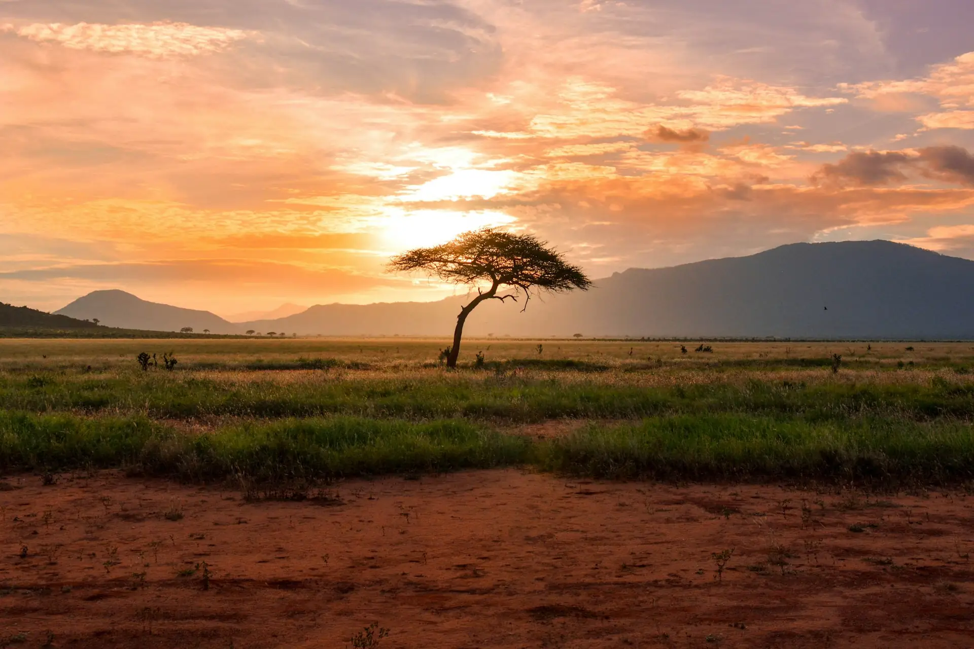 Wings Over Kenya Luxury